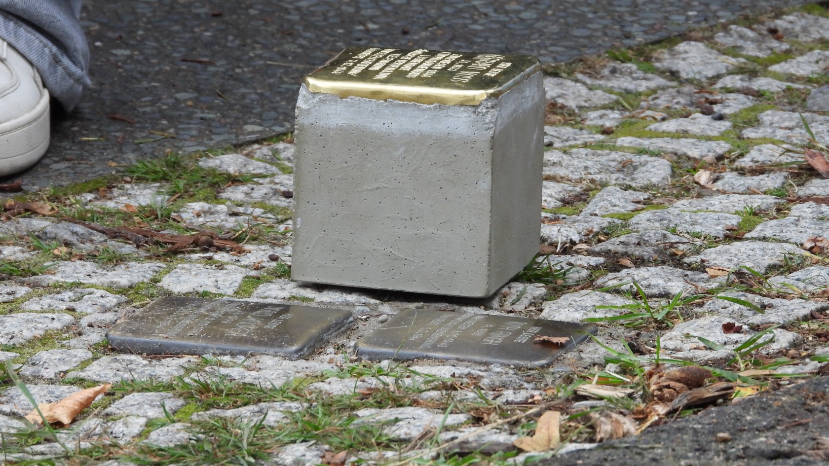 DSCN3401.JPG